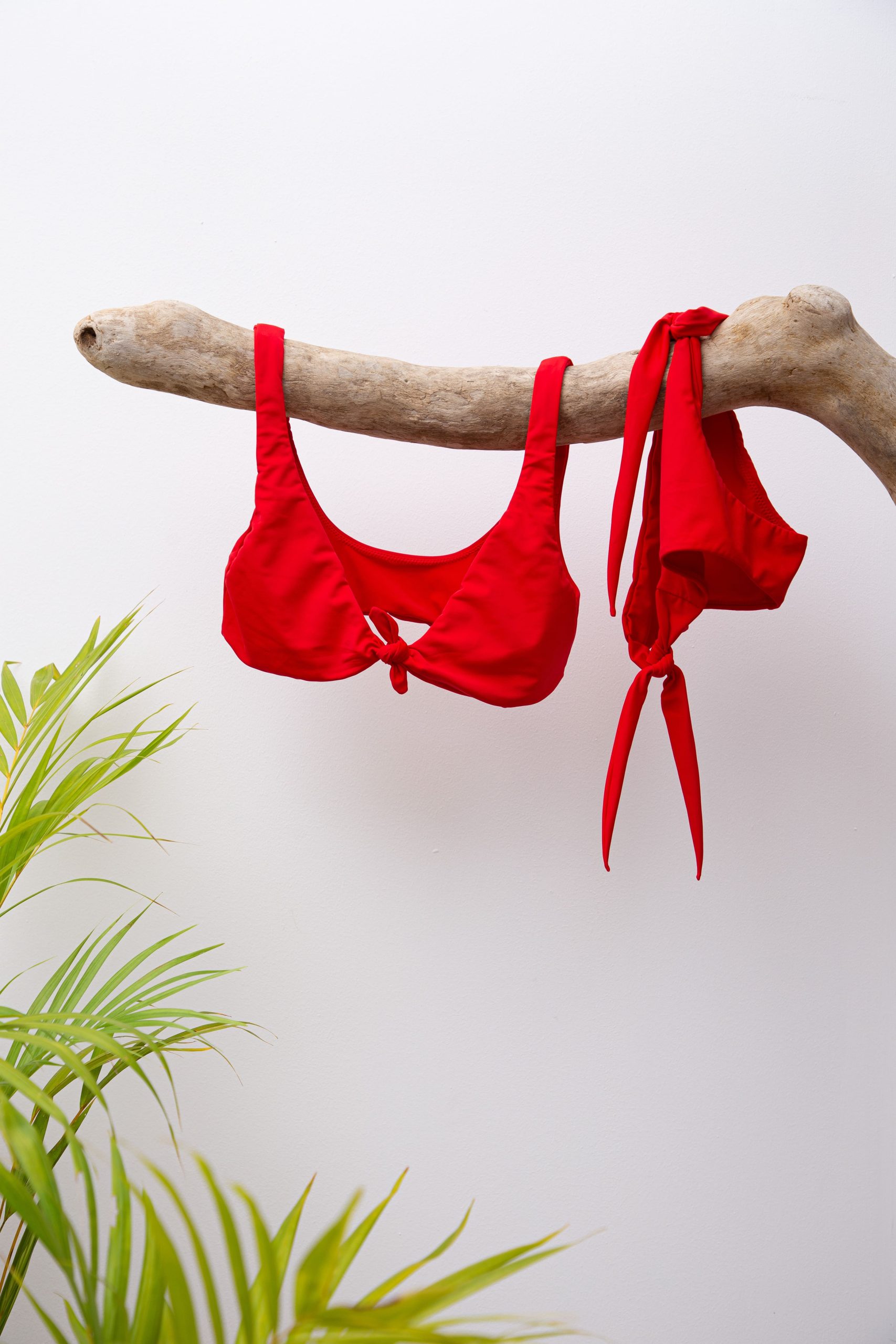 WOMEN BIKINI PEONY PROTEA Red Aqua Swimwear